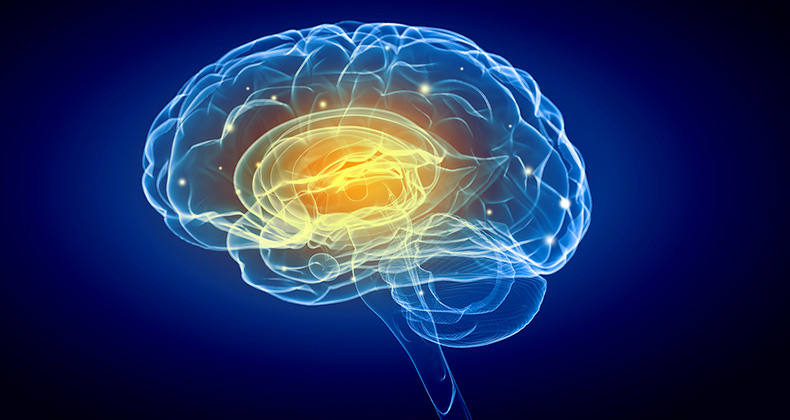 5 formas sorprendentes en las que tu lugar de trabajo influye en tu cerebro