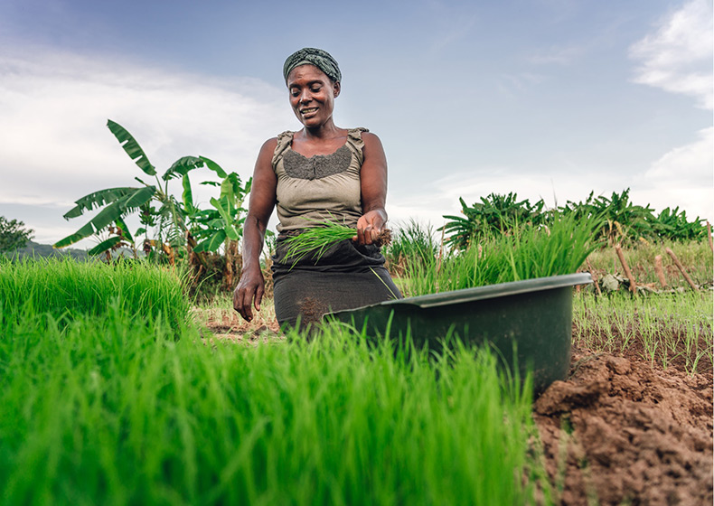 El 47% de los beneficiarios de los planes de negocio en el sector agrario desarrollados por Incatema en Angola han sido mujeres