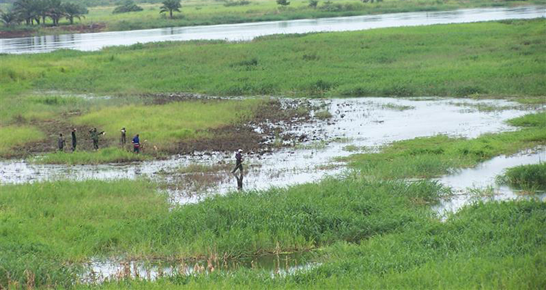 Incatema, adjudicataria de un contrato del Banco Mundial para fortalecer la resiliencia climática en Tanzania