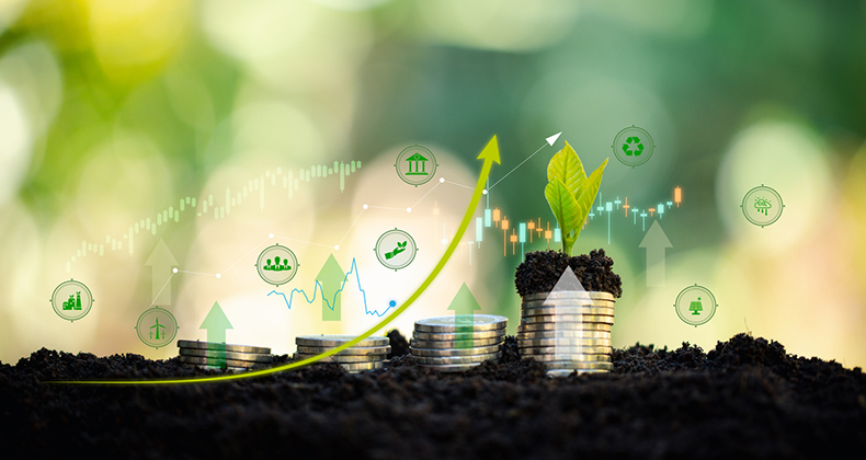 Incatema participa en la modernización del regadío en Egipto bajo un modelo climática y financieramente sostenible