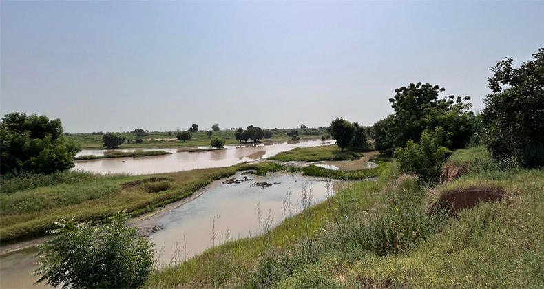 Infraestructuras hídricas: Incatema se adjudica en Senegal el proyecto de acondicionamiento de la cuenca del Nianija Bolong