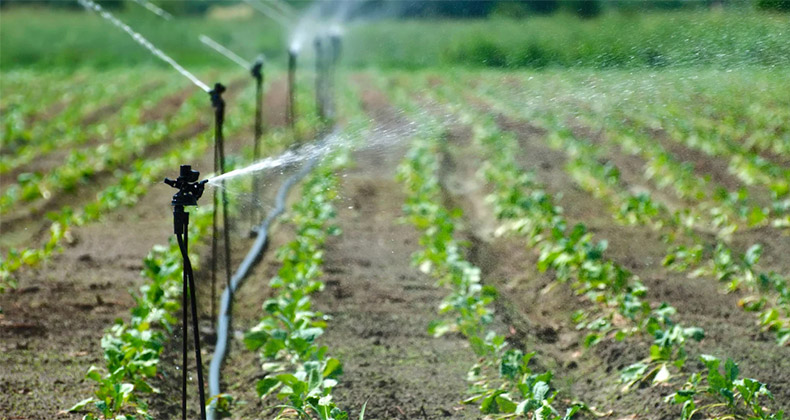 Incatema finaliza proyecto de riego agrícola y de construcción de invernaderos en Cabinda (Angola)