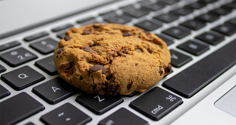 Adiós a la Cookies de terceros. 4 maneras de conocer mejor a tus clientes digitales
