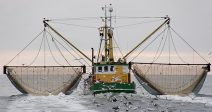 agricultura-confia-bruselas-cambie-las-propuestas-reducciones-cuota-pesca
