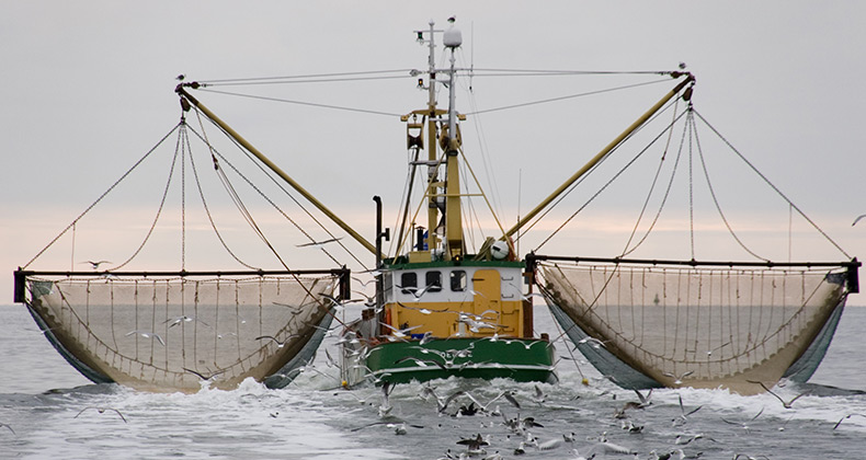 Agricultura confía en que Bruselas cambie las propuestas de reducciones de cuota de pesca