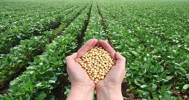 Agricultura convoca ayudas por valor de 2 millones para crear organizaciones de productores