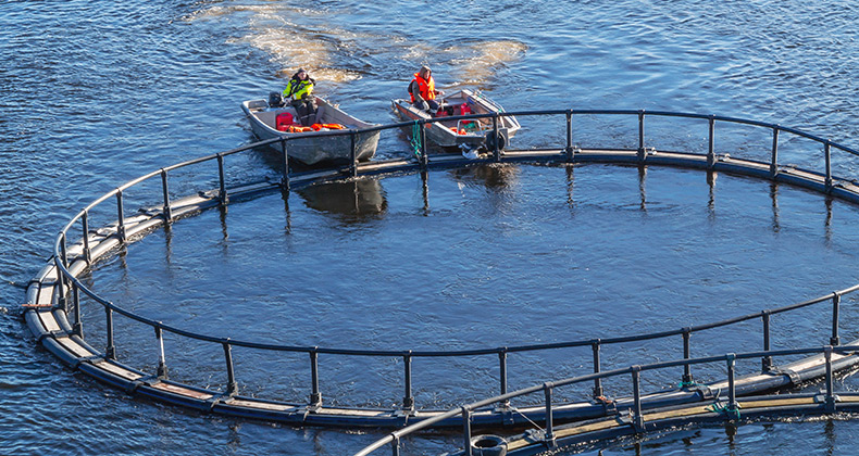 Agricultura convoca subvenciones para desarrollar nuevos mercados de la pesca y acuicultura en 2019