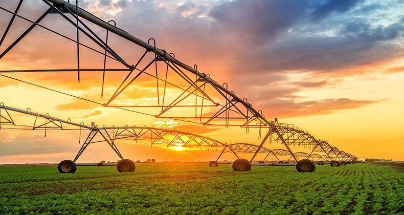 Agricultura ya ha pagado 6.637 millones de euros de la PAC de 2018, 454 millones más que el año anterior