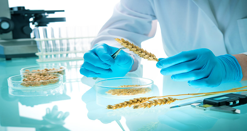 Apoyo financiero a proyectos industriales de Investigación, Desarrollo e Innovación en el ámbito de la industria manufacturera.