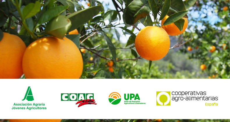 ASAJA, COAG, UPA y Cooperativas Agroalimentarias de España denuncian las imposiciones de AGROSEGURO a la hora de consensuar el sistema de seguros agrarios