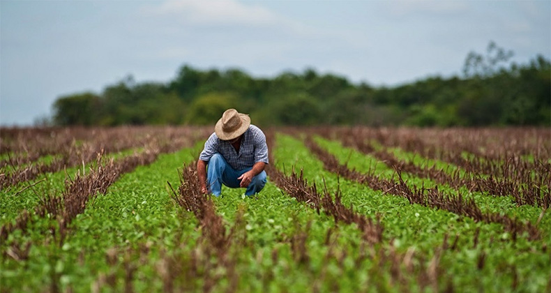 Báñez rechaza la eliminación de las peonadas y convertir el subsidio agrario en una renta social autonómica