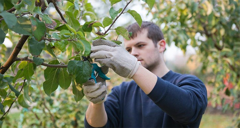 Bruselas y el BEI destinan 1.000 millones en préstamos a jóvenes agricultores