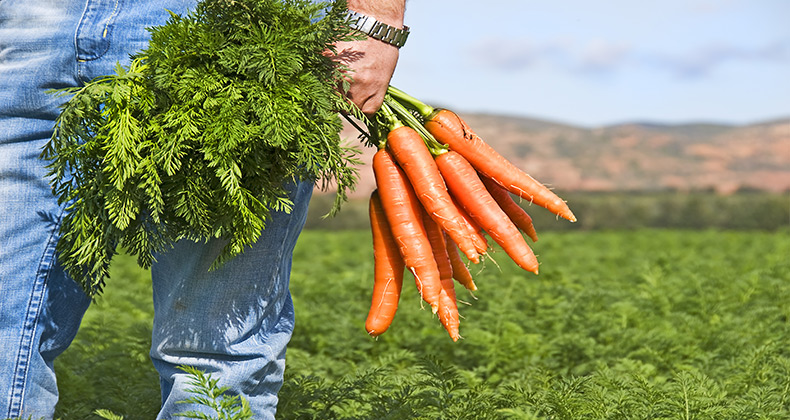 Bruselas eleva a 25.000 euros las ayudas que se pueden conceder a agricultores sin notificar a la UE