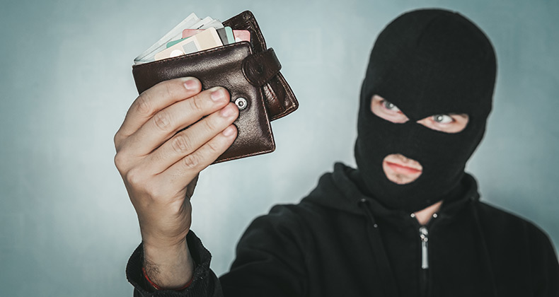 10 consejos para olvidarte de los carteristas digitales y que tus compras online sean seguras