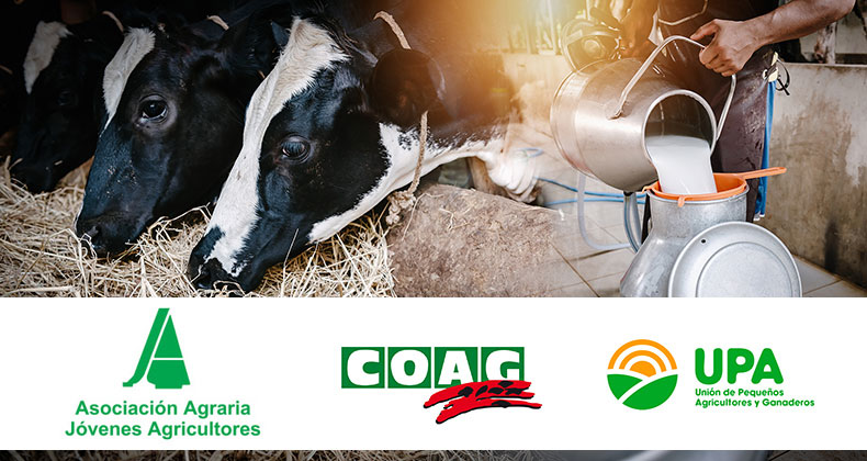 COAG, ASAJA y UPA denuncian la compra de leche por la industria por debajo de los costes de producción