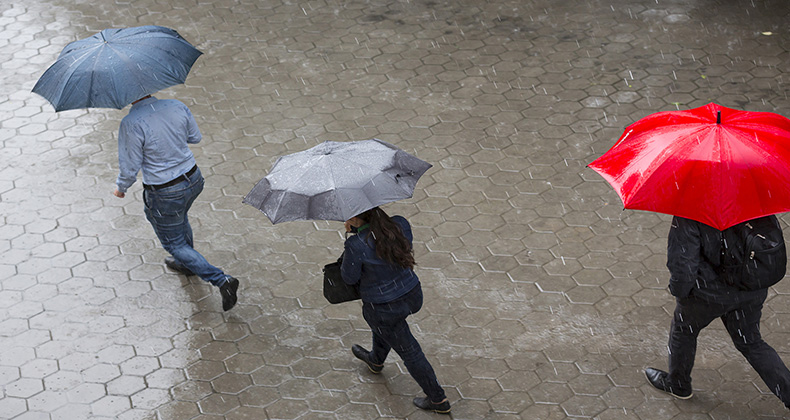 ¿Cómo afecta la climatología a tu negocio?
