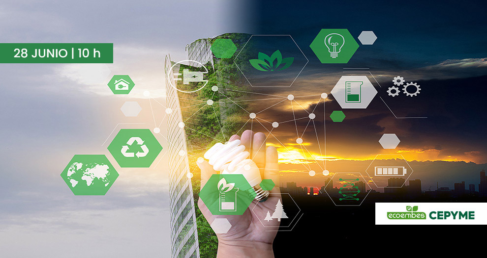 ¿Cómo avanzar en la sostenibilidad de tu empresa?