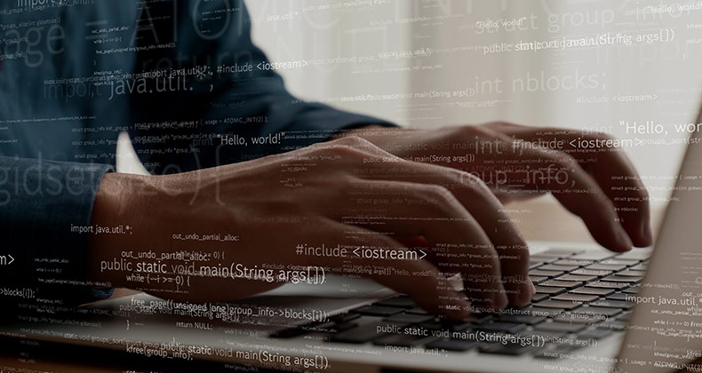 ¿Cómo contribuye un desarrollador de software al éxito del proyecto?