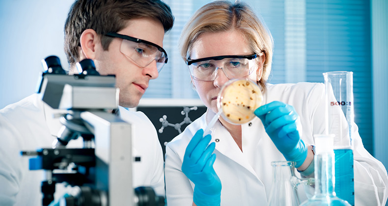 Más del 50% de la comunidad universitaria considera necesario destinar más recursos a investigación