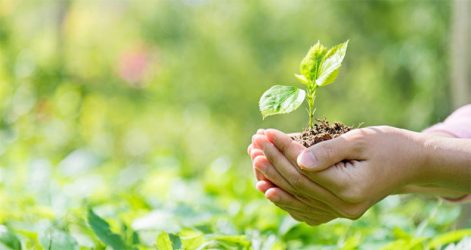 convocatoria-premios-europeos-medio-ambiente-empresa-2019