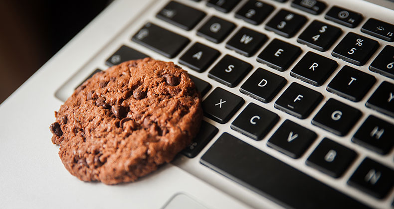 Cookieless: cómo prepararse para el gran cambio en la recopilación de datos en internet