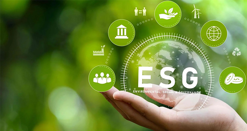 Criterios ESG en pymes: acciones sencillas para mejorar tu puntuación
