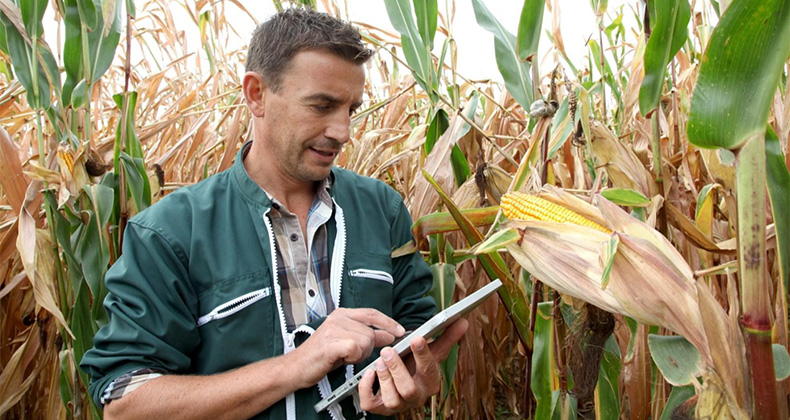 Digitalización y ‘Big Data’ en la agricultura