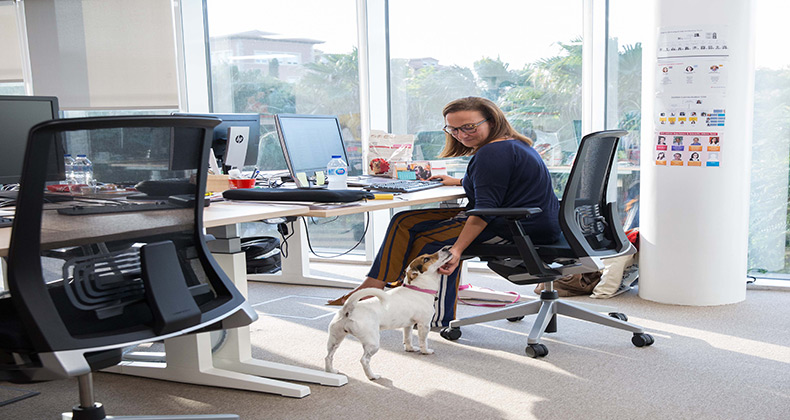 Los empleados que llevan su mascota a la oficina muestran un 22% más de satisfacción en su trabajo