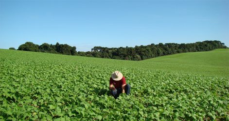empleo-sector-primario-pierde-peso-se-situa-4-por-ciento-del-total-creado-espana