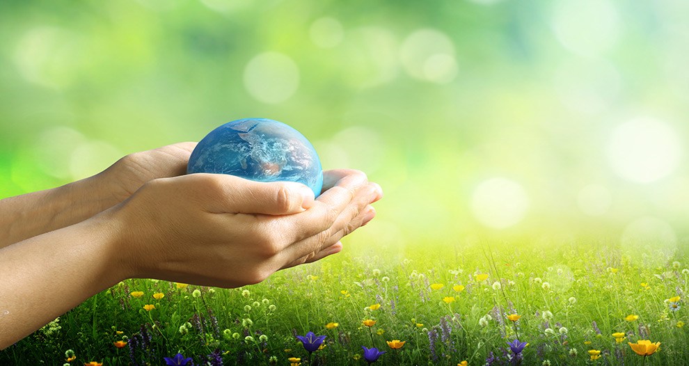 ¿Qué tienen que saber las empresas para cumplir con la nueva Ley de Responsabilidad Ambiental?