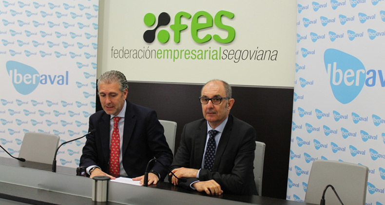 Estrategias para la financiación de inversiones en las empresas segovianas