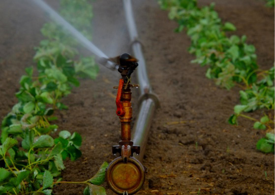 Incatema fomenta técnicas de regadío eficientes en Santo Tomé y Príncipe (África) que mejoran la producción y sostenibilidad de la agricultura familiar