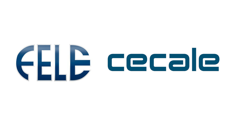 Fele – Cecale denuncia abandono y pasividad de los convocantes de la Mesa por León