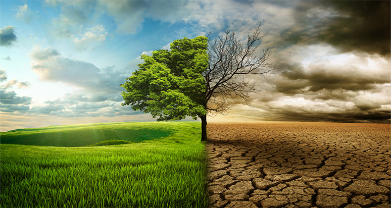 El Gobierno aprueba una línea de financiación para proyectos que contribuyan a la lucha contra el cambio climático