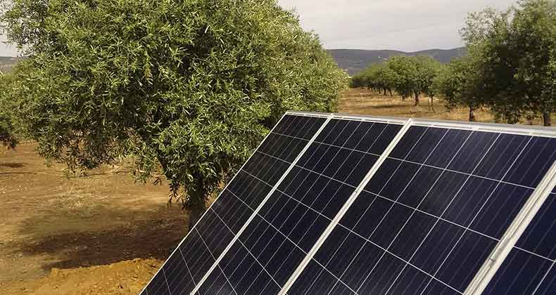 Iberdrola ofrece una solución integral de autoconsumo para sus clientes