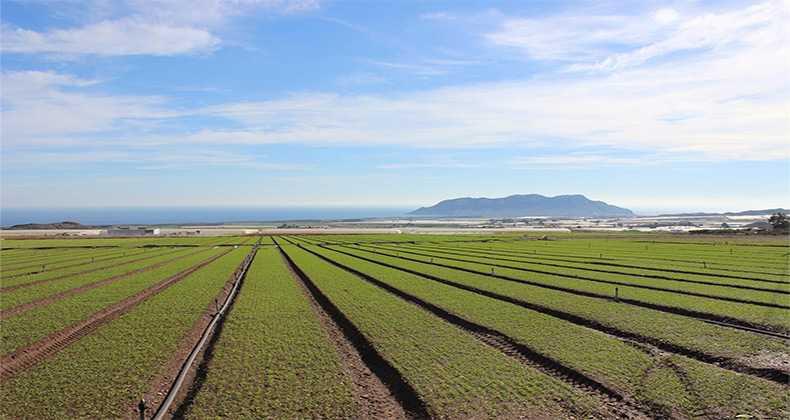 El incremento de la renta agraria no llega al campo por el aumento de los costes de producción