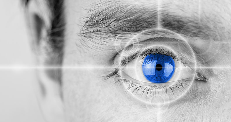 El iris, ¿el dato biométrico de moda?