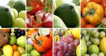 la-exportacion-frutas-verduras-posiciona-espana-principal-proveedor-europa