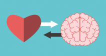 la-inteligencia-emocional-tambien-trabaja