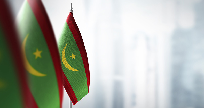Mauritania, un mercado con interesantes oportunidades en economía azul, alimentación y energía