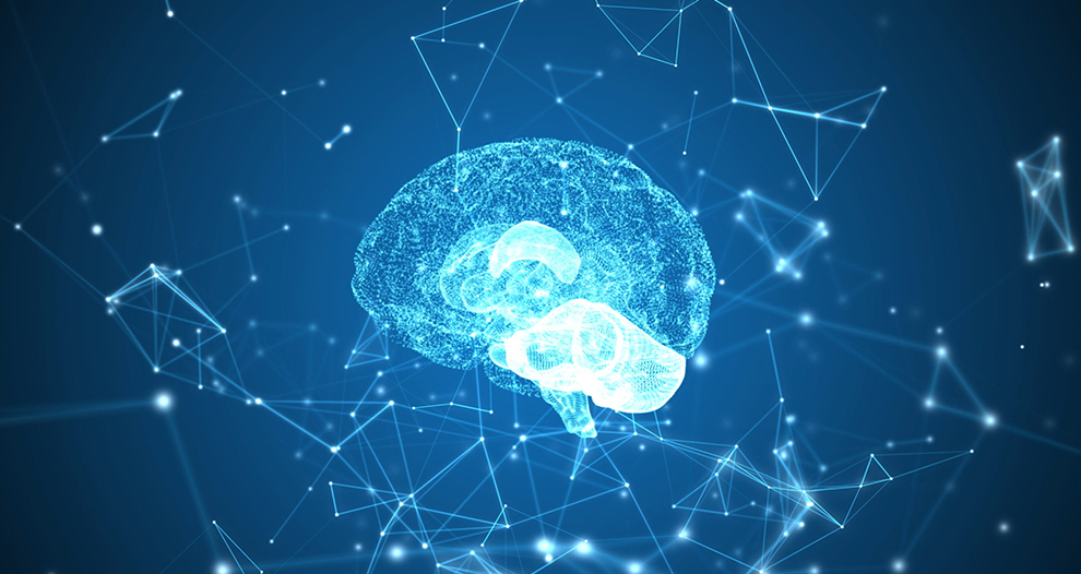 Neuromarketing: Técnicas de promoción que convencen al cerebro