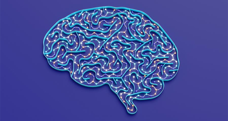 Neuroproductividad: gestionar la energía mental en lugar del tiempo