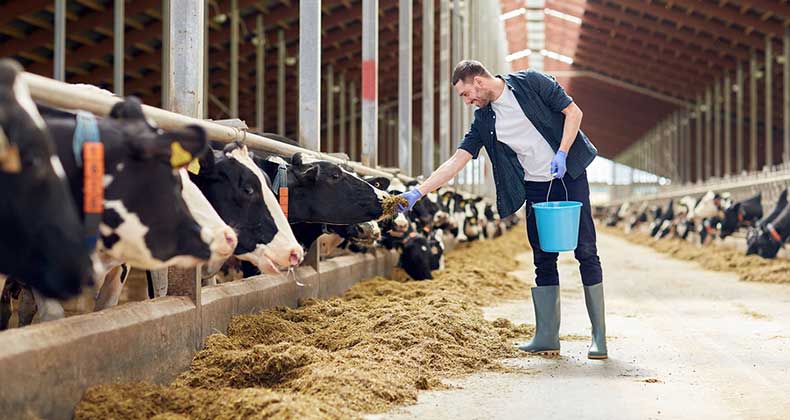 Nuevas medidas para combatir prácticas comerciales desleales en la cadena alimentaria