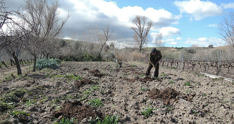El pago de los anticipos de las ayudas directas de la PAC de la campaña 2018 se inician mañana