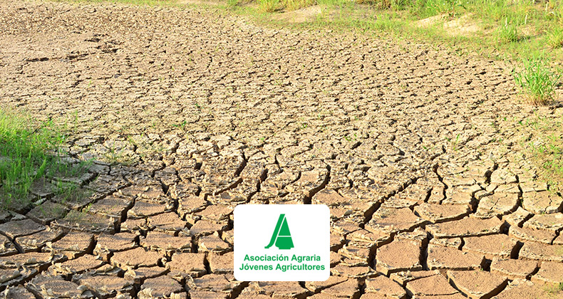 Las pérdidas sufridas por la sequía pueden alcanzar los 8.000 millones de euros y ponen al sector agrario español ante una situación crítica