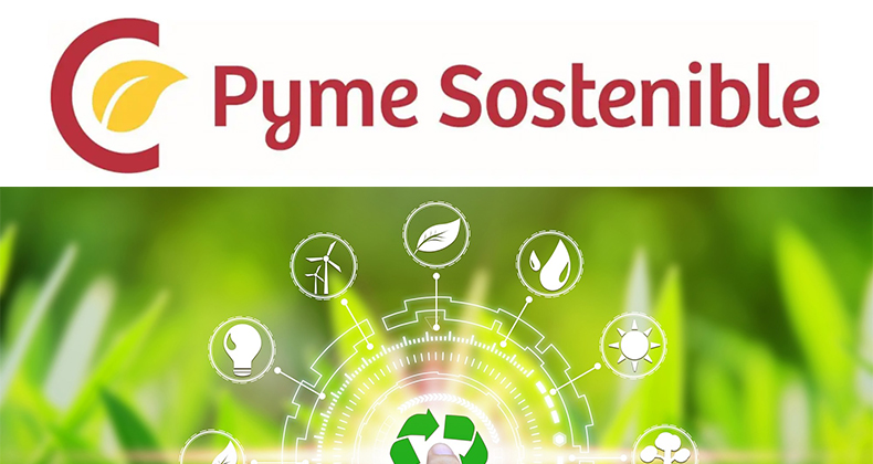 Programa Pyme Sostenible 2026: hasta 7.000 euros en ayudas con las Cámaras de Comercio