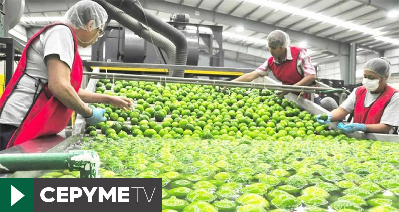 El sector agroalimentario apuesta por innovación y alianzas para lograr un modelo de desarrollo sostenible