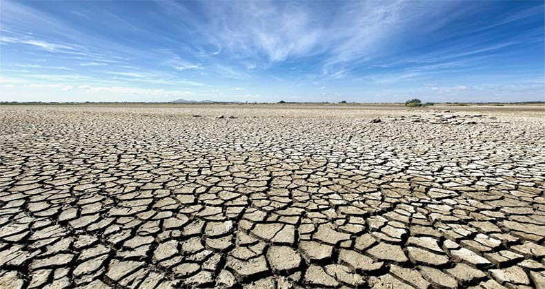 El seguro agrario será «cada vez más necesario» por el cambio climático
