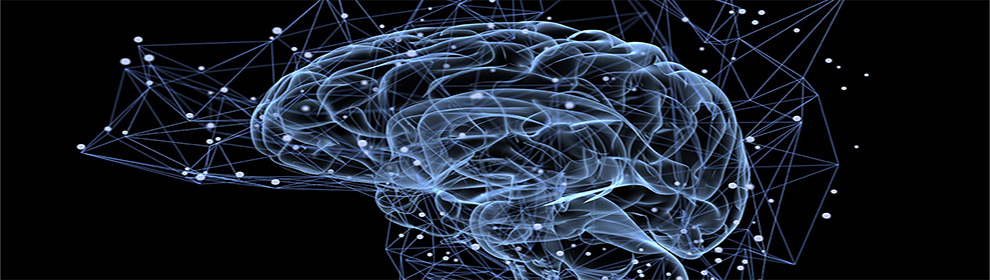 Todos tenemos un saboteador dentro y se llama cerebro