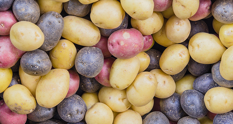 Las ventas de alimentos básicos como patatas, carnes, aceite o leche repuntan un 10% al llegar septiembre